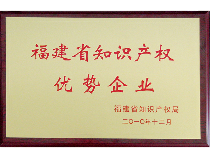 福建省知識產(chǎn)權優(yōu)勢企業(yè)證書